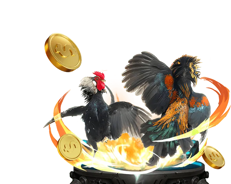 Nền tảng đá gà trực tiếp Thomo uy tín