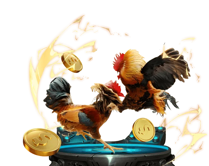 Cảnh quan đấu trường Thomo với khán giả và gà chiến